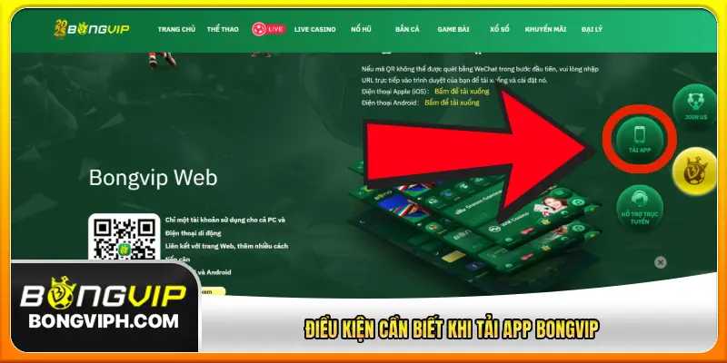 Điều kiện cần biết khi tải app Bongvip
