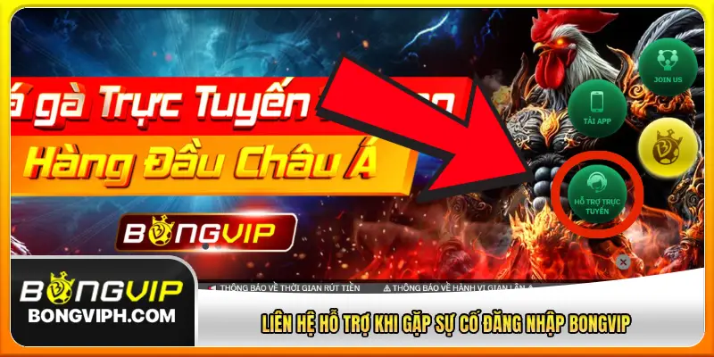 Liên hệ hỗ trợ khi gặp sự cố đăng nhập BONGVIP