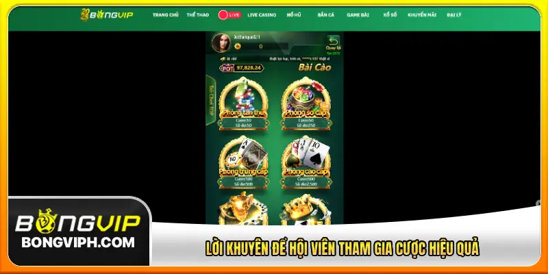 Lời khuyên để hội viên tham gia cược hiệu quả