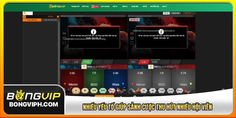 Nhiều yếu tố giúp sảnh cược thu hút nhiều hội viên